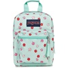 Apple Orchard Magic Mint/Pink/Red