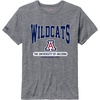 Arizona Wildcats