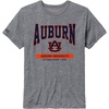 Auburn Tigers