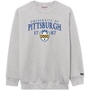 Pittsburgh Panthers