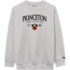 Princeton Tigers