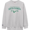 South Florida Bulls