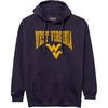 West Virginia Mountaineers