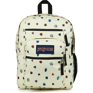 JanSport Laptop Backpack – Computer Bag with 2 Compartments, Ergonomic Shoulder Straps, 15” Laptop Sleeve, Haul Handle – Vortex Voyage(A Bug’s Vibe)