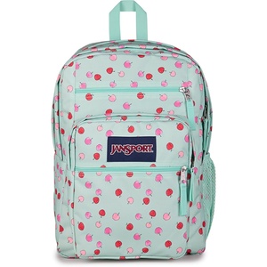 JanSport Laptop Backpack – Computer Bag with 2 Compartments, Ergonomic Shoulder Straps, 15” Laptop Sleeve, Haul Handle – Vortex Voyage(Apple Orchard Magic)