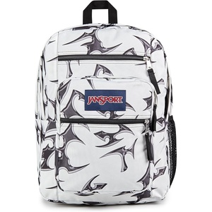 JanSport Laptop Backpack – Computer Bag with 2 Compartments, Ergonomic Shoulder Straps, 15” Laptop Sleeve, Haul Handle – Vortex Voyage(Cyber Silver White)