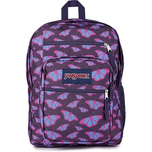 JanSport Laptop Backpack – Computer Bag with 2 Compartments, Ergonomic Shoulder Straps, 15” Laptop Sleeve, Haul Handle – Vortex Voyage(Flutter By Purple)