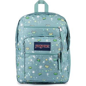 JanSport Laptop Backpack – Computer Bag with 2 Compartments, Ergonomic Shoulder Straps, 15” Laptop Sleeve, Haul Handle – Vortex Voyage(Leapin Lillies)