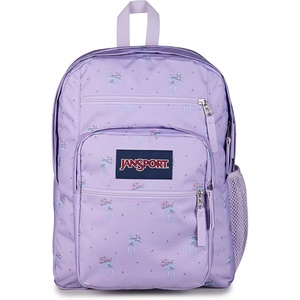 JanSport Laptop Backpack – Computer Bag with 2 Compartments, Ergonomic Shoulder Straps, 15” Laptop Sleeve, Haul Handle – Vortex Voyage(Pastel Petals Lilac)