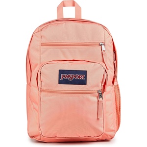 JanSport Laptop Backpack – Computer Bag with 2 Compartments, Ergonomic Shoulder Straps, 15” Laptop Sleeve, Haul Handle – Vortex Voyage(Peach Bum)