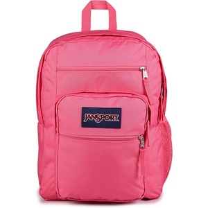 JanSport Laptop Backpack – Computer Bag with 2 Compartments, Ergonomic Shoulder Straps, 15” Laptop Sleeve, Haul Handle – Vortex Voyage(Posh Pink)