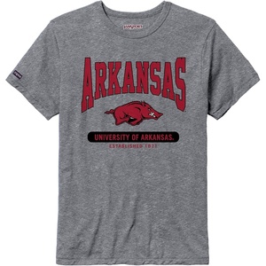 JanSport NCAA Officially Licensed Pregame Short Sleeve T Shirt for Men, Soft & Breathable Triblend Crewneck T Shirt(Arkansas Razorbacks)