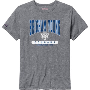 JanSport NCAA Officially Licensed Pregame Short Sleeve T Shirt for Men, Soft & Breathable Triblend Crewneck T Shirt(BYU Cougars)