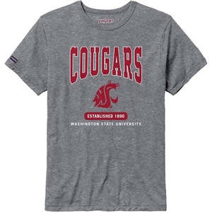 JanSport NCAA Officially Licensed Pregame Short Sleeve T Shirt for Men, Soft & Breathable Triblend Crewneck T Shirt(Washington State Cougars)