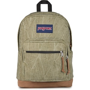 JanSport Right Pack Expressions Backpack – Travel, Work, or Laptop Bag – Coconut Corduroy(Aged Canvas Green/Lt Green/Brown)