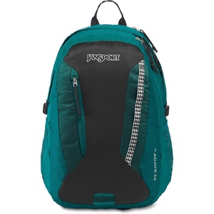 JanSport Women’s Agave Backpack – 15-inch Laptop Bag, Black(Ecolution)