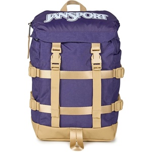 JanSport Mini Skip Pack – Compact Backpack with Main Compartment, Side Water Bottle Pocket, and Zippered Accessory Pocket, Jelly Kelly(Amethyst Angst)