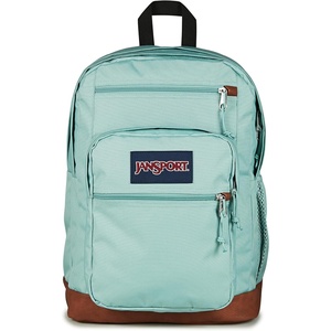 JanSport Cool Backpack, with 15-inch Laptop Sleeve – Large Computer Bag Rucksack with 2 Compartments, Ergonomic Straps, Russet Red(Faded Sage)